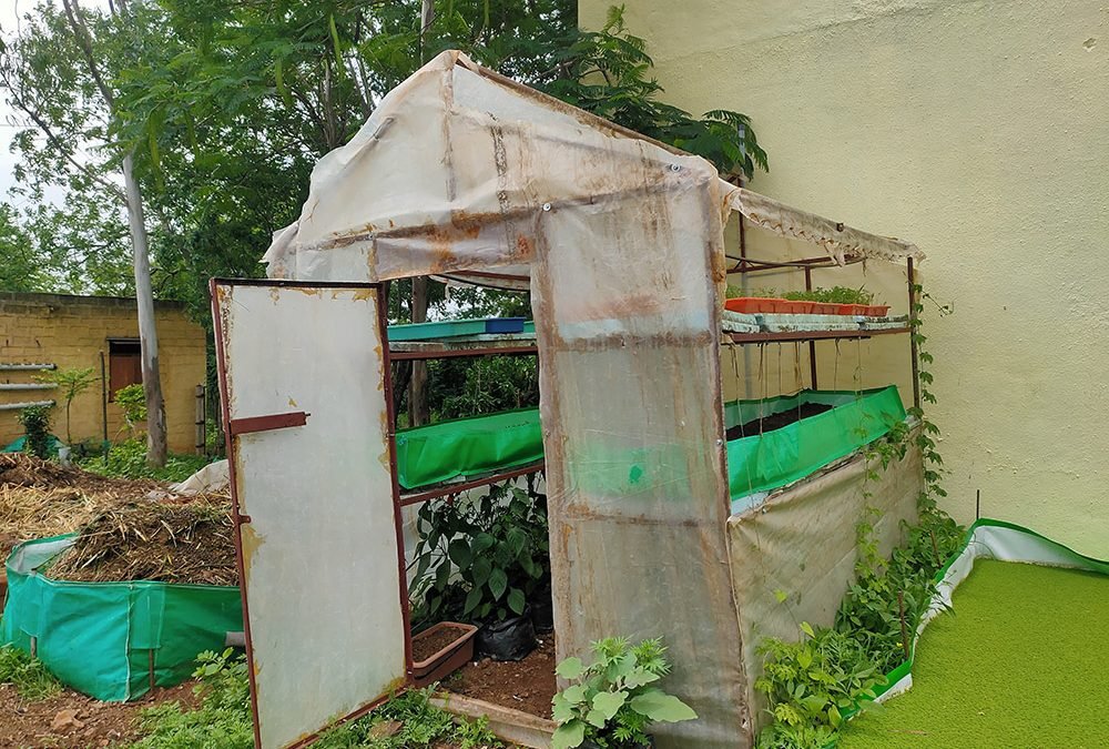 Urban Farming Kitchen Garden